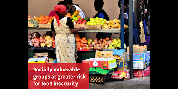 Social vulnerability and food insecurity persistently prevalent in South Africans